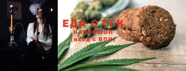 мдпв Краснослободск