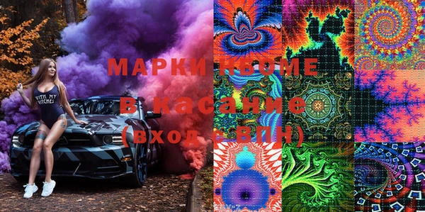 мдпв Краснослободск