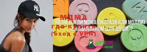 мдпв Краснослободск