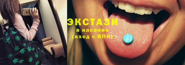 мдпв Краснослободск