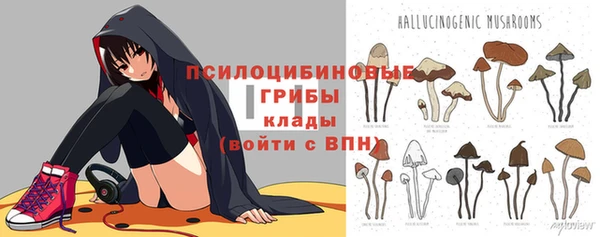 мдпв Краснослободск
