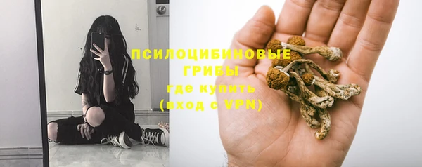 мдпв Краснослободск