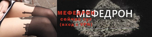 мдпв Краснослободск