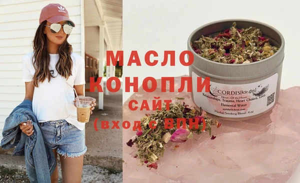 мдпв Краснослободск