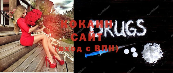 мдпв Краснослободск