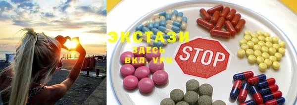 мдпв Краснослободск